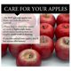 thumbnail image 5 of Manzanas realistas (13 piezas) - Frutas decorativas (rojas), 5 of 5