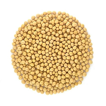 Organic Soy Beans- Protein rich, Raw, Non-GMO, Vegan Bulk (9LB)
