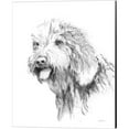 thumbnail image 2 of Great Art Now Goldendoodle, Labradoodle & Yorkshire Terrier Sketch by Avery Tillmon 3 Piece Canvas Art Set Each 12W x 15H, 2 of 4