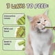 thumbnail image 3 of 80PCS Cat Grass Teeth Grinding Stick Snacks Cat Teeth Cleaning Sticks Pet, 3 of 5