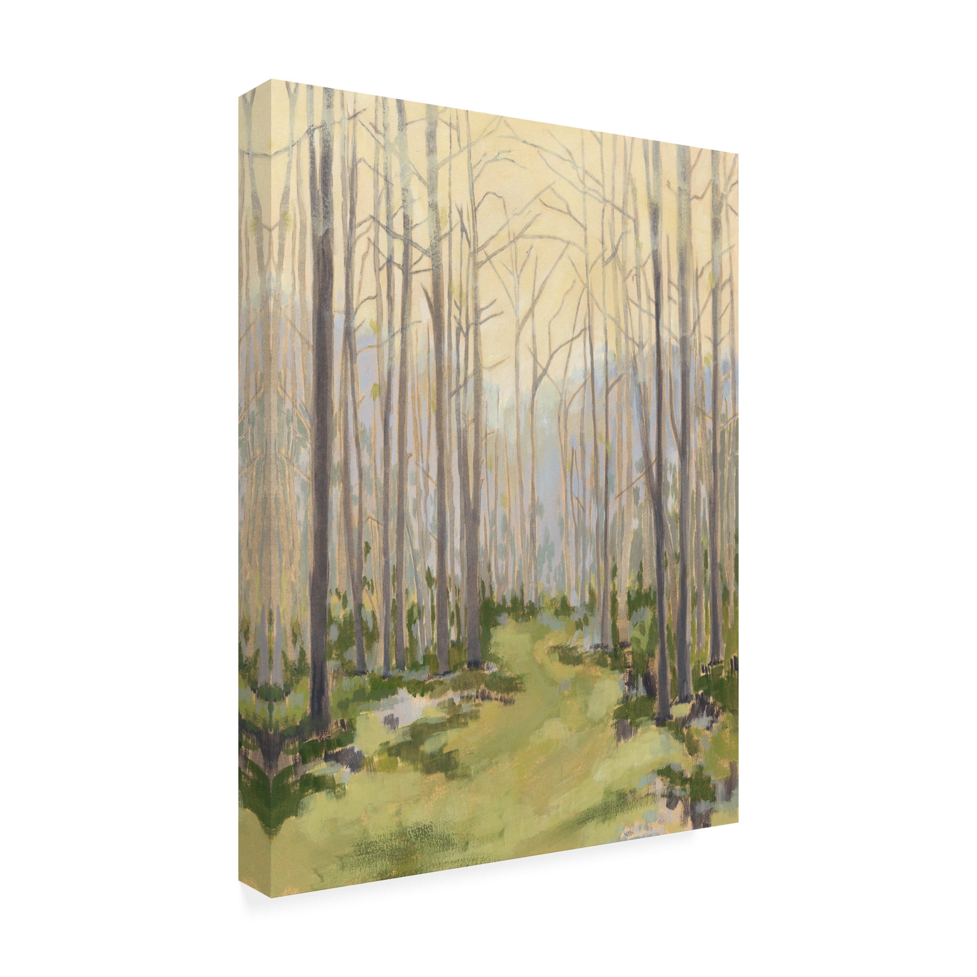Trademark Fine Art 'Delicate Forest I' Canvas Art by Megan Meagher