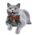 thumbnail image 4 of Musbetu Collier de Chat de Noël Rouge Vert à Carreaux avec Nœud Réglable et Clochette pour Chats Accessoires de Déguisement, 4 of 7
