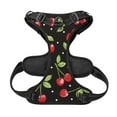 thumbnail image 5 of Gaeub Sweet Red Cherry Gaeub Sweet Red Cherry No Pull Dog Harness, Secure and Adjustable Pet Vest for Outdoor Activities - Medium, 5 of 9