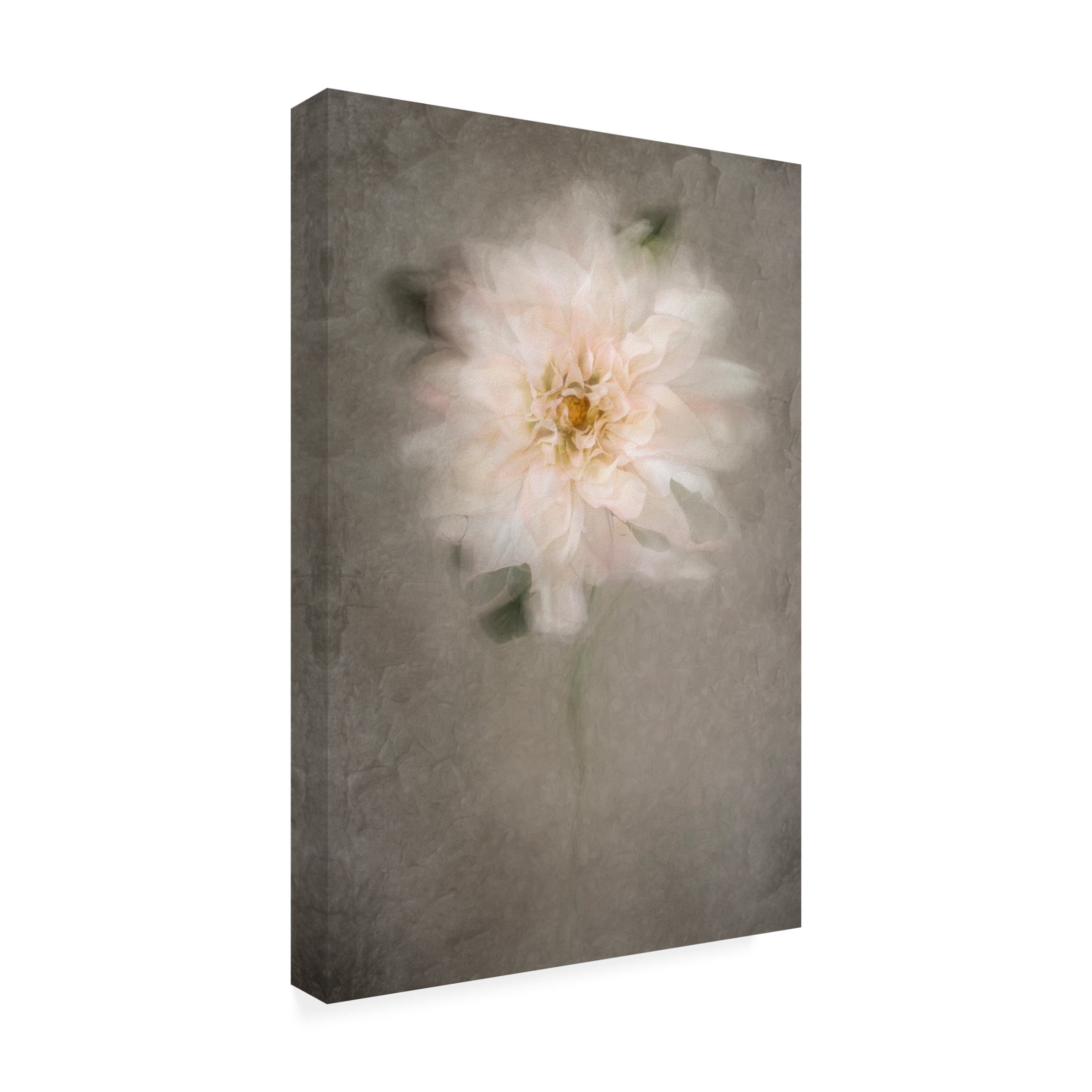 Trademark Fine Art Cicek Kiral For The Bride Canvas Wall Art