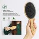 thumbnail image 2 of Boar and Bamboo Bristle Hairbrush Wide Anti-Static Comfortable and Durable Massage Pad (Black), 2 of 5