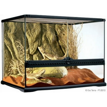 Exo Terra Wide Glass Terrarium, 24"x18"x18" Medium