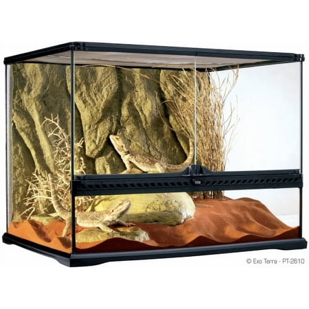 Exo Terra Wide Glass Terrarium, 24"x18"x18" Medium