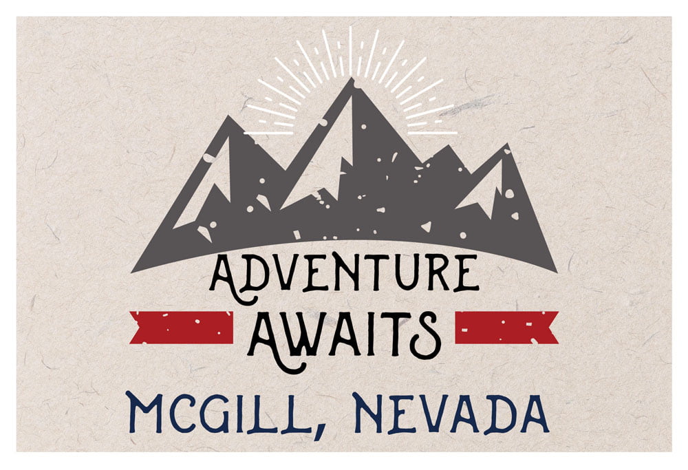 Greetings from Nevada FRIDGE MAGNET Set travel souvenir flag map 
