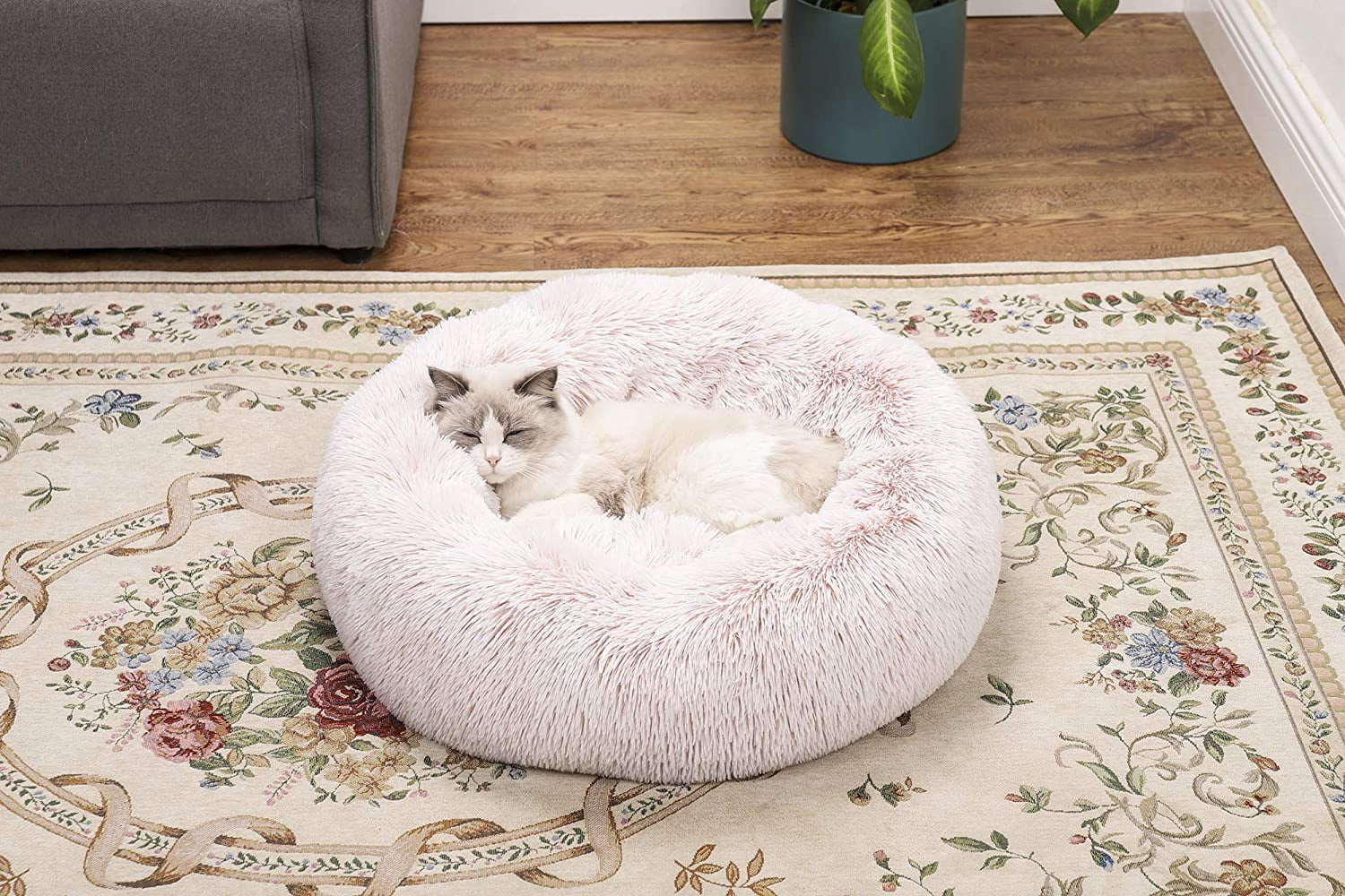 canadian made dog beds