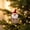 Multicolor1, variant on Fmbmuo Christmas Decorations Fabric Christmas Doll Pendants for Decorating Christmas Trees,Multicolor