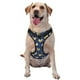 thumbnail image 1 of Balery Funny Chicken Arnés para Perros Grandes Antitirones, Arnés con Correa para Gato, Arnés Tipo Chaleco para Perros Pequeños-Small, 1 of 6