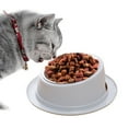 thumbnail image 1 of Bol pour Animaux 15° Cou Inclinable Protecteur Antidérapant Bol de Nourriture pour Chats, 1 of 3