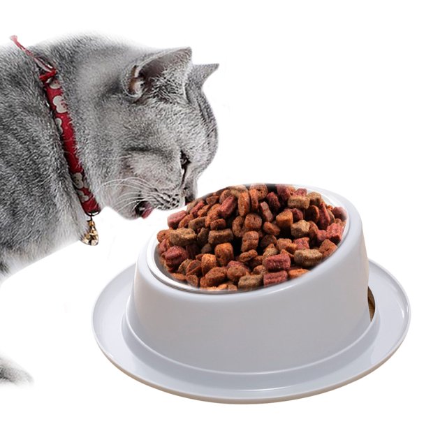 Bol pour Animaux 15° Cou Inclinable Protecteur Antidérapant Bol de Nourriture pour Chats