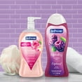 thumbnail image 2 of Softsoap Exfoliating Body Wash Gift Set, 32 fl oz Pink Rose & Sweet Vanilla Pump and 20 fl oz Blackberry Sugar + Pouf, 2 of 12