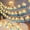 10FT Warm White,USB, variant on Blue Beach Shell String Light,20 FT Ocean Theme String Lights,Marine Life Night Lights for Bedroom Home,Battery/USB Powered,Weatherproof Warmth Shine for Holiday Party,Wedding,Garden Decoration