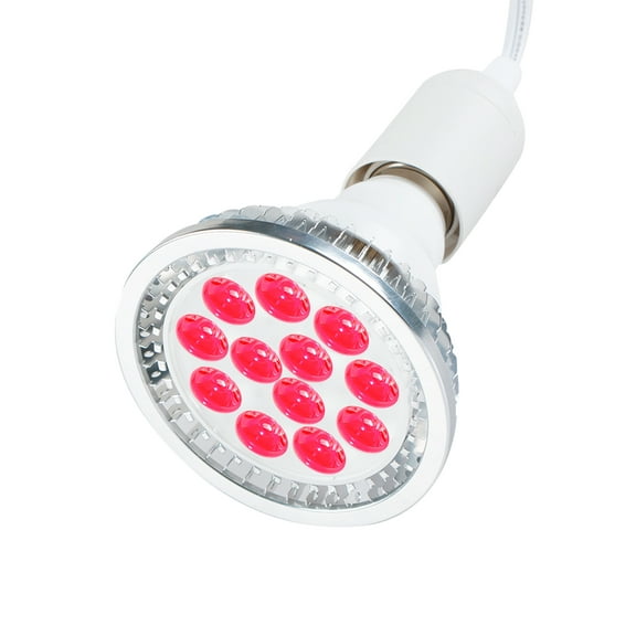 DGXINJUN Red Light Bulbs Lamp for Skin Care Home Use