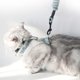 thumbnail image 4 of EeaseMX Arnés ajustable para gatos con estampado de flores, correa de tracción, correa para el cuello cómoda, suministros para mascotas, talla S, verde claro, 4 of 8