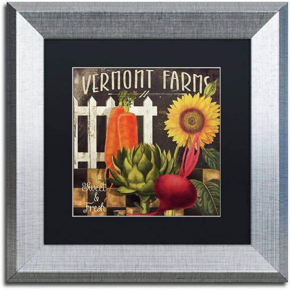 Trademark Fine Art "Vermont Farms VIII" Canvas Art by Color Bakery Black Matte, Silver Frame