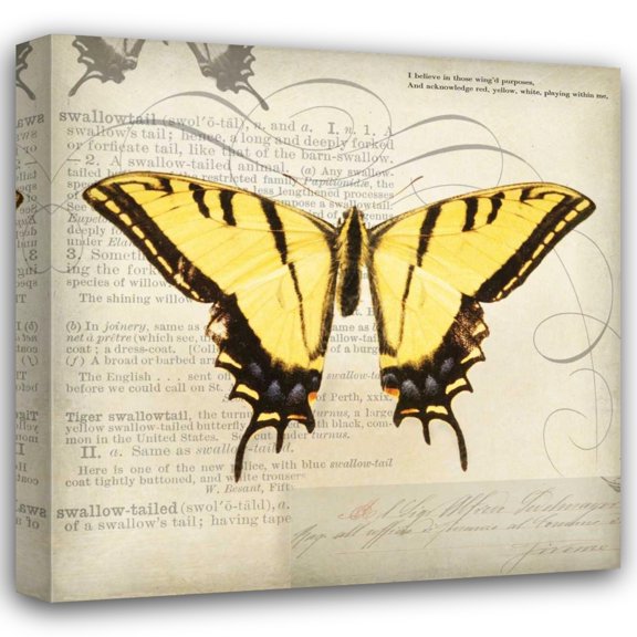 Amy Melious 28x28 Gallery Wrapped Canvas Wall Art Titled - Butterflies Script V