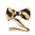 thumbnail image 3 of Black and Honey Gold College Stripe Pre-Tied Bow Tie, 3 of 5