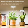 thumbnail image 3 of Ground-plugged Plant Light Timable Dimmable Angel Ring Full Spectrum Imitation Sunlight Succulent Pot Grow Light Fill Lights, 3 of 6