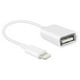 thumbnail image 1 of Adaptador de cámara USB Lightning para iPad/iPhone de Apple, 1 of 1