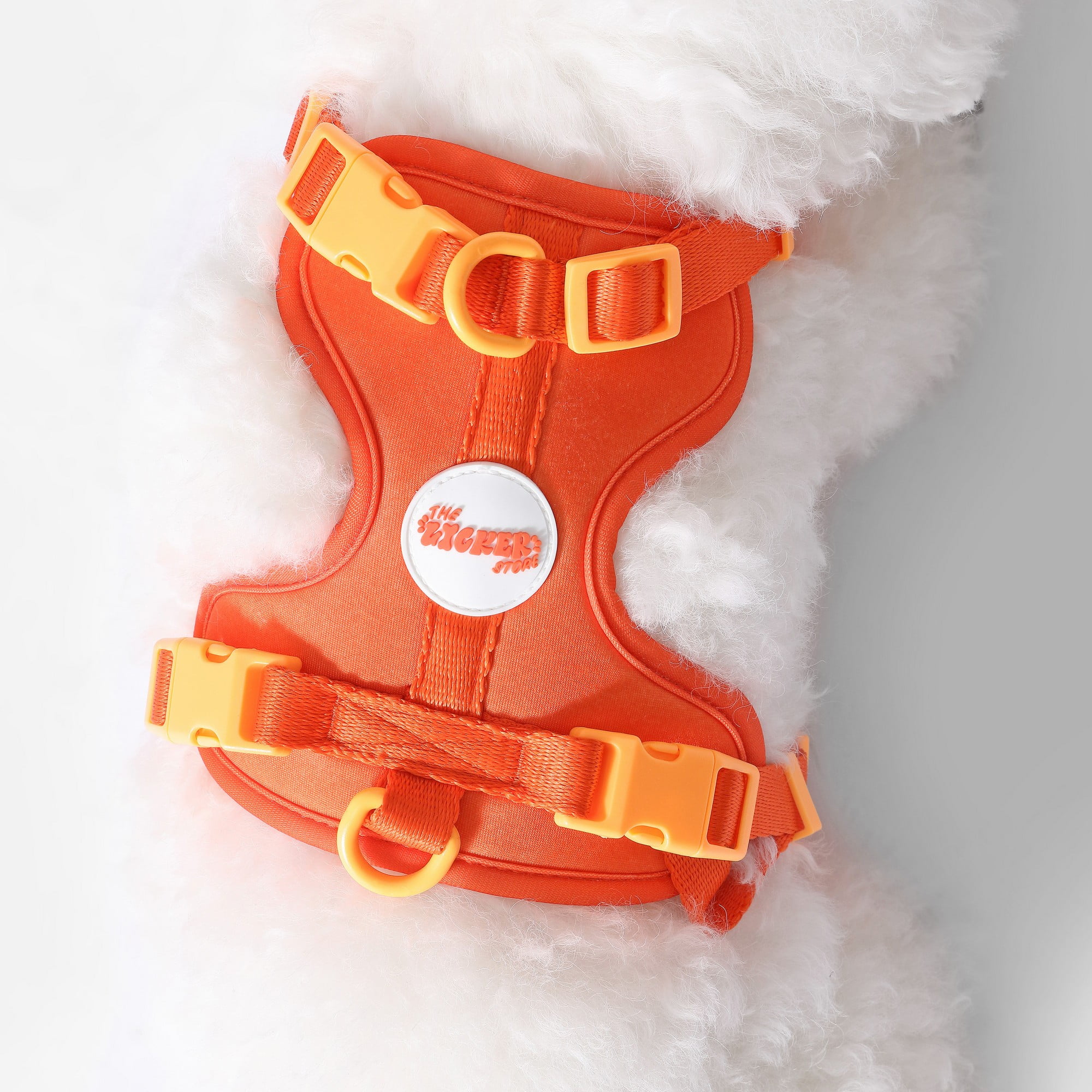 THE LICKER STORE Arlo Small Adjustable Soft Padded No Pull Pet Harness with 3 Buckles and 3 Leash Clips, Dark Orange, HNS1001A
