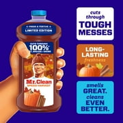Mr. Clean All Purpose Cleaner, Cleaning Liquid, Spiced Harvest, 41 fl oz