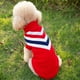 thumbnail image 3 of Apuakthei 2 piezas de ropa para festivales de mascotas, ropa abrigada para perros de otoño e invierno, suéter para perros, 3 of 6