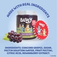 thumbnail image 6 of Bluey Grape Fruit Spread 10.3 oz - No High Fructose Corn Syrup, Low Sugar, 6 of 9