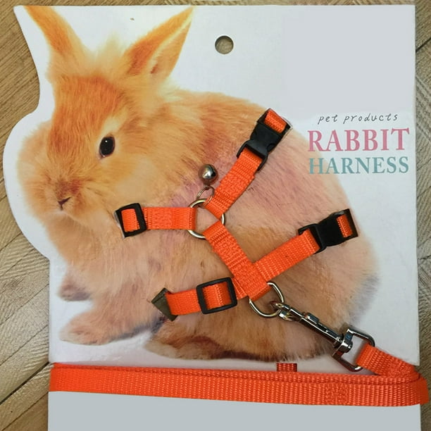 Rabbit walking harness hot sale