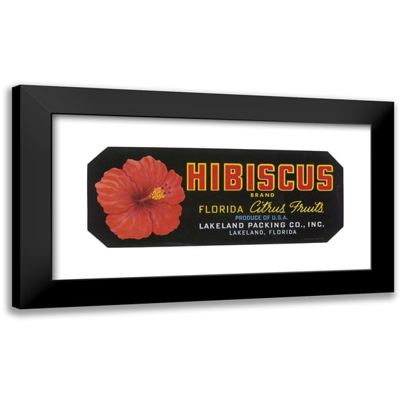 Anonymous 14x8 Black Modern Framed Museum Art Print Titled - Hibiscus Brand Florida Citrus Fruit Label (1930-1950)