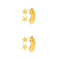 thumbnail image 3 of Wosthever Recortes de confeti de estrellas colgantes Adorno de cartel pequeño y delicado Decoración de fiesta Portátil para actividad amarillo amarillo dorado 2Conjunto, 3 of 6