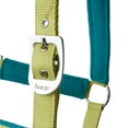 thumbnail image 3 of Horze Magical Carousel Soft Lined Pony Halter, 3 of 5
