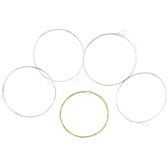 EXHUMKY 5Pcs Banjo Set Stainless Steel 5 ng Instrument Accessories for Performance