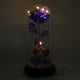 thumbnail image 1 of Luz LED Rosa, Lámpara Rosa, Impermeable Flexible Para Bodas, Fiestas, Regalo De Aniversario, Decoración Interior, Día De San Valentín ANGGREK Púrpura, 1 of 8