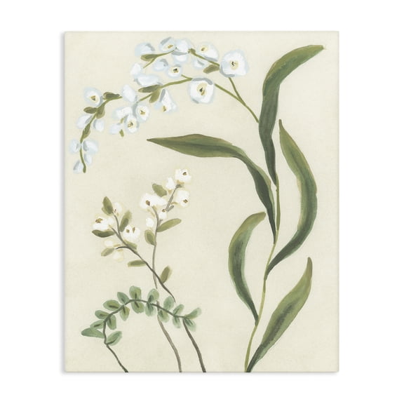 Stupell Industries French Country Neutral Snowdrop Stems Canvas Art, 16 x 20, by June Erica Vess