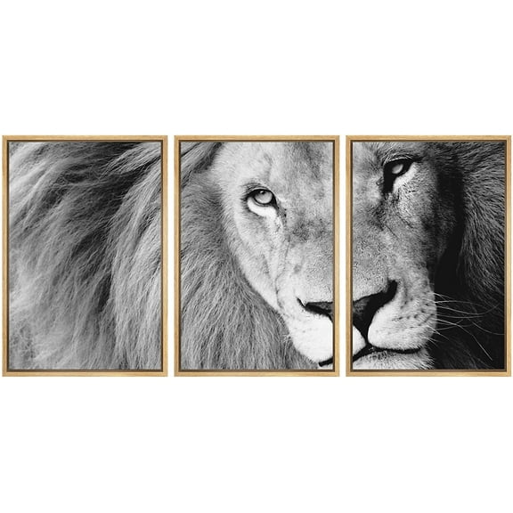 wall26 - 3 Piece Framed Canvas Wall Art - Close Up of Male Lion, B&W - Modern Home Art Stretched and Framed Ready to Hang - 16"x24"x3 NATURAL