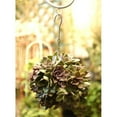 thumbnail image 2 of 4Pcs Retro Iron Ball Shape Succulent Pot Metal Hanging Planter Plant, 2 of 9