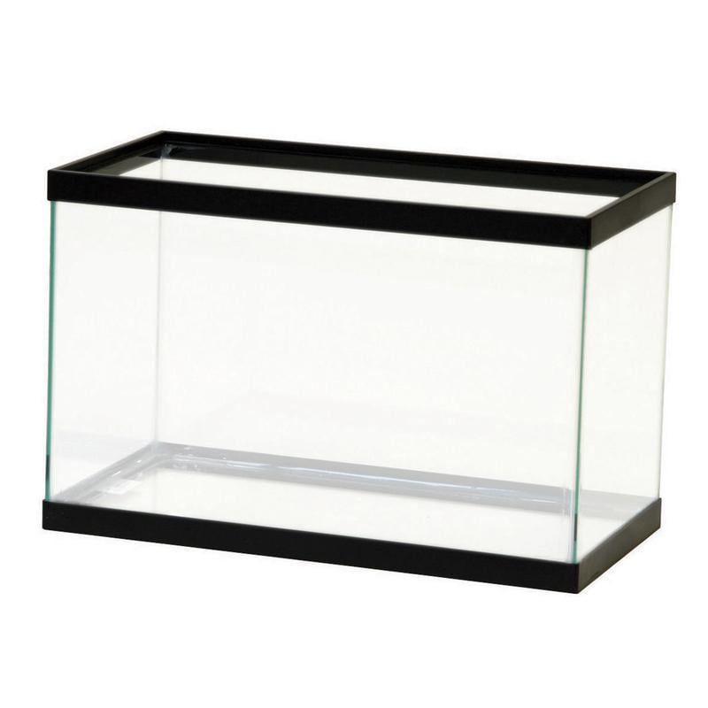 Aqueon ProductsGlassStandard Rectangular Aquarium Tank Black 5.5 Gallon