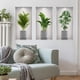 thumbnail image 3 of Calcomanías de pared autoadhesivas duraderas con diseño de plantas para despegar y pegar, para una decoración del hogar sin esfuerzo (paquete de 3), 3 of 4