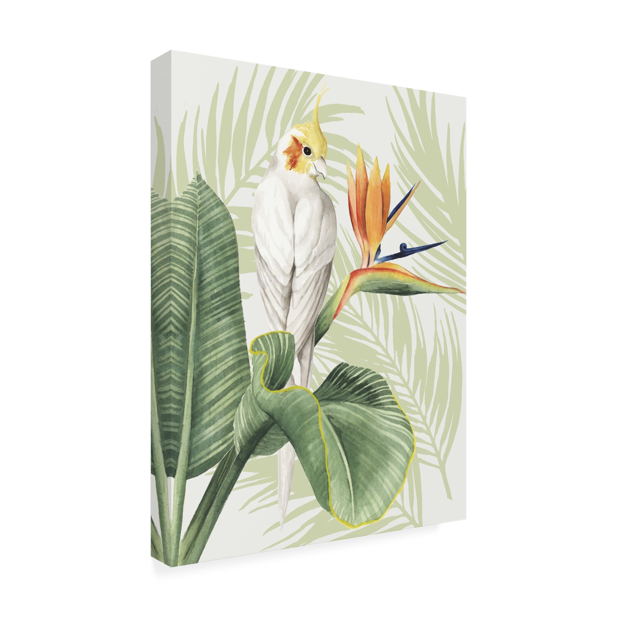 Trademark Fine Art Grace Popp Avian Paradise Ii Canvas Wall Art - 24x32