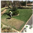 EnviroColor 4EG0032 851612002100 1,000 Sq. Ft. 4EverGreen Grass and