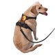 thumbnail image 2 of Balery Golden Koi And Treasure Arnés para Perros Grandes Antitirones, Arnés con Correa para Gato, Arnés Tipo Chaleco para Perros Pequeños-Medium, 2 of 6