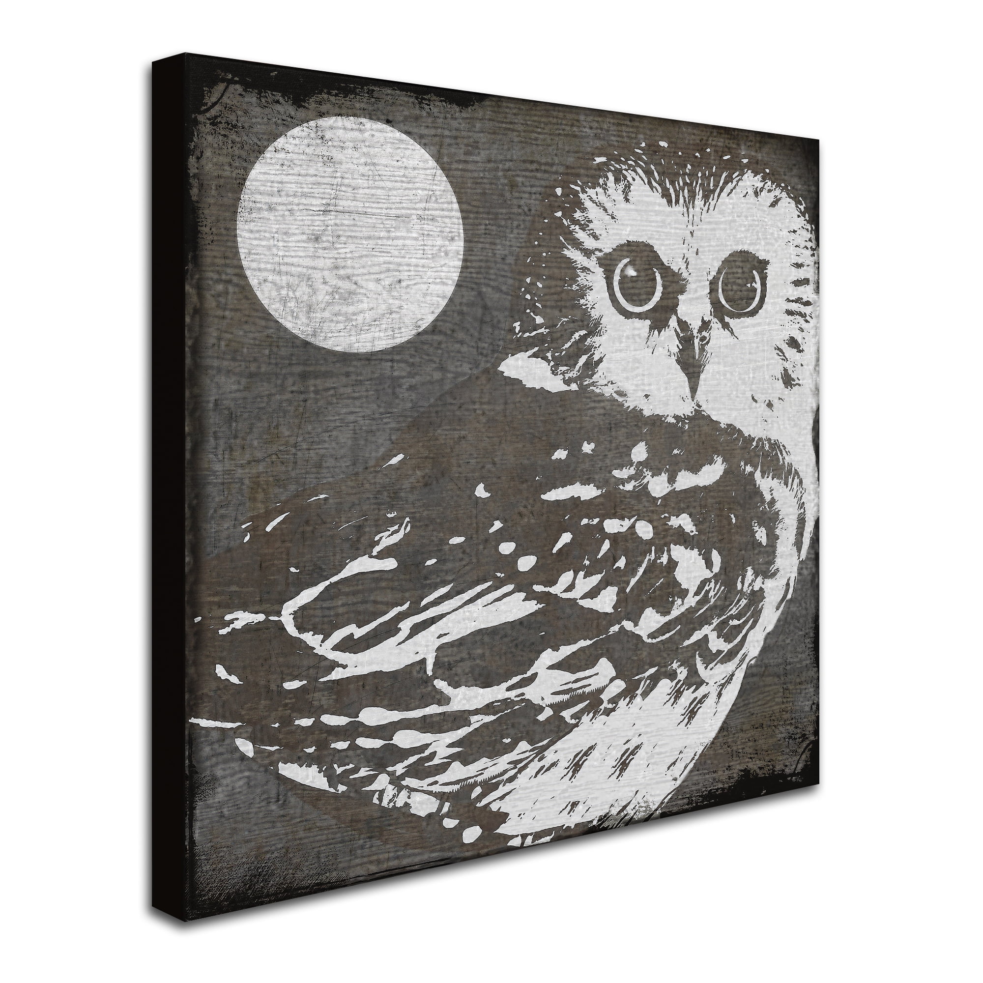 Trademark Fine Art "Owl 3" Canvas Art by Color Bakery