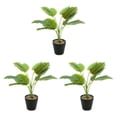 thumbnail image 4 of Inteprter Tortuga realista, flor falsa, plantas artificiales realistas para el hogar, oficina, jardín, balcón, flores falsas JH5472 Type1 NO1, 4 of 6
