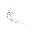 thumbnail image 3 of Perfume Clarins Eau des Jardins 100 ml Todo Tipo de Piel, 3 of 5