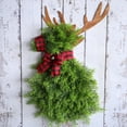 thumbnail image 5 of 20.8"Christmas Elk Wreath for Front Door,Artificial Pine Branches Green Leaves Garland,Handcrafted Wreath Hanging Garland Pendant Decor for Home Wall,Porch Fireplace, 5 of 9