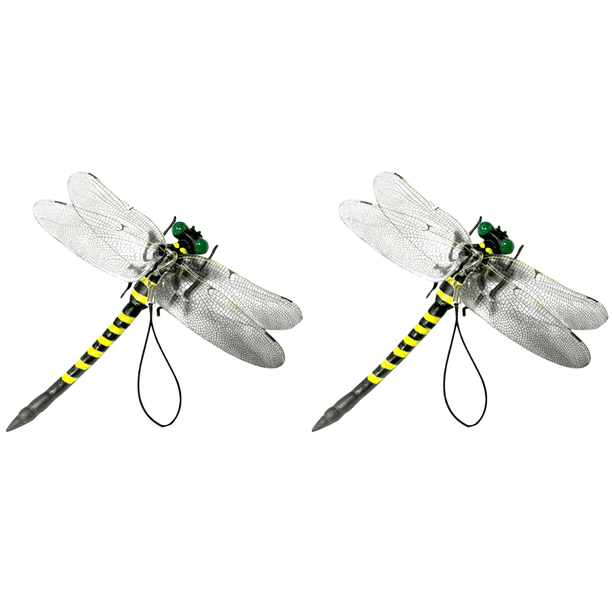 Modelo Insecto Prevención Insectos Disuasorio Moscas Libélula Simulación para Del