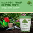 thumbnail image 6 of Wondertree Organics Neem Natural Fertilizers, 4 lbs with 2-1-1 NPK, OMRI Listed, 6 of 9